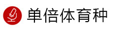 研發(fā)概覽